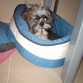 1er mes en casa, no me gusta la colchoneta y siempre la saco fuera